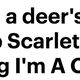 Illustration for article titled The All-Caps Words in iThe Daily Mail/is Headlines Have Taught Me to Love LIFE Again
